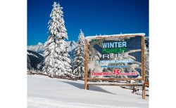 Sign on the snow for Winter forest run 2015